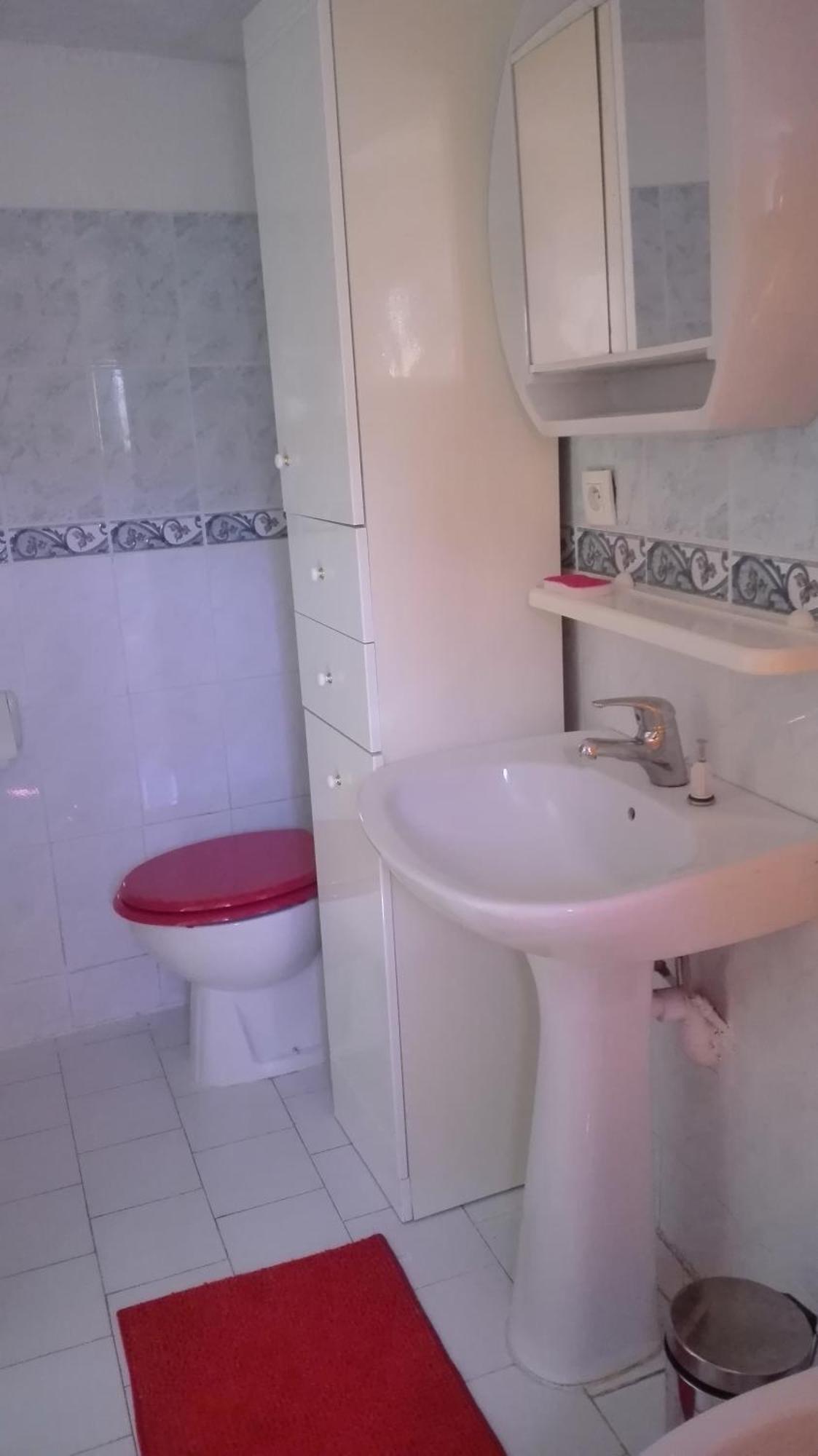 Niolu Appartement Albertacce Buitenkant foto